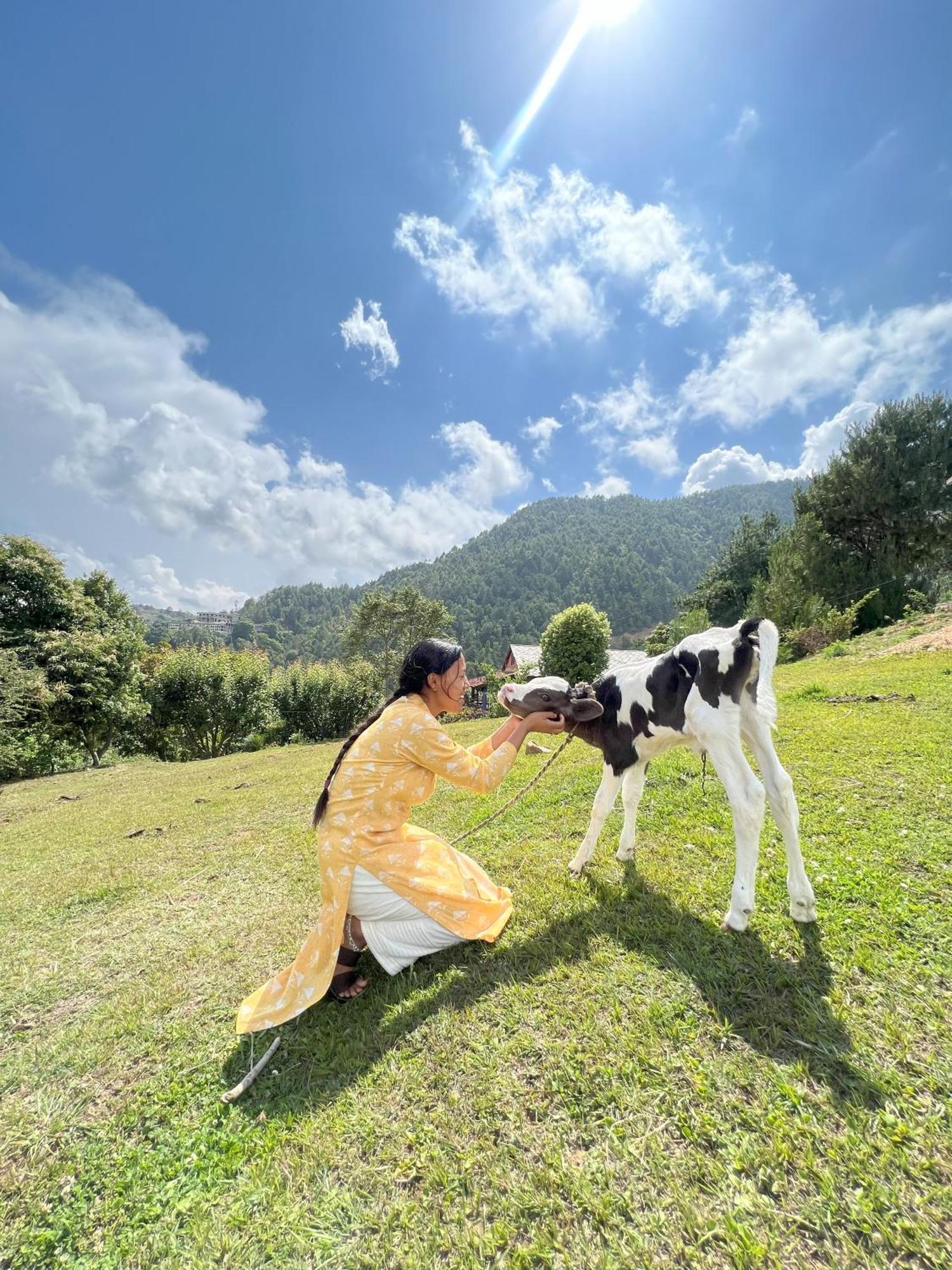 Joy Source Resort กาฐมาณฑุ ภายนอก รูปภาพ