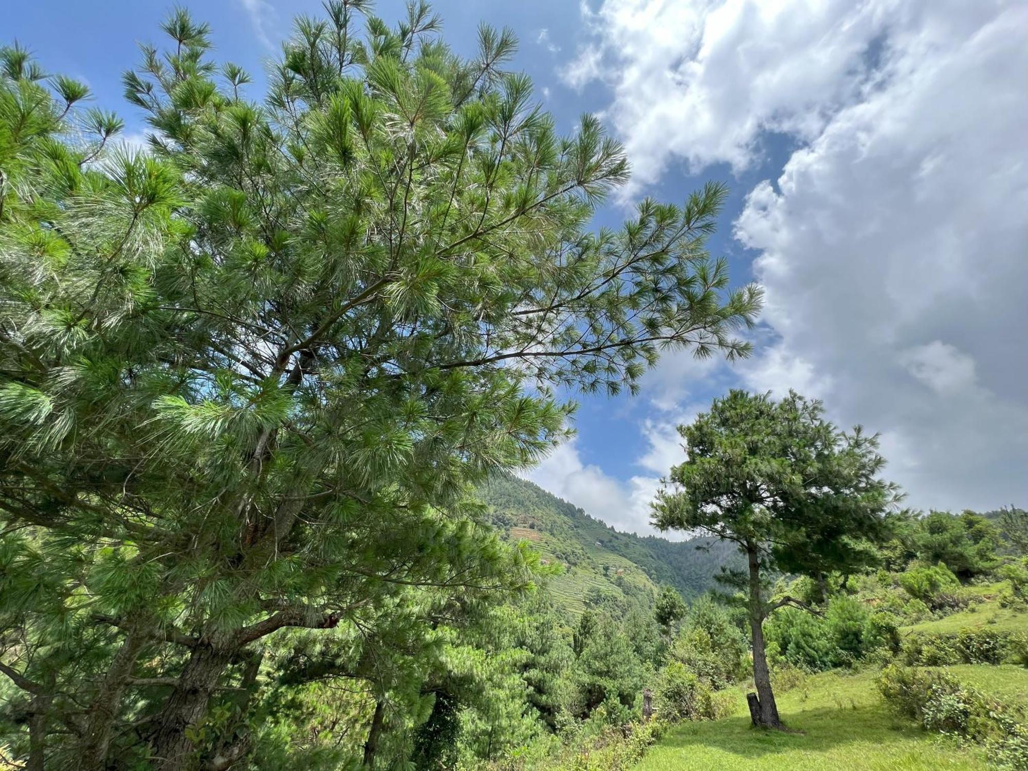 Joy Source Resort กาฐมาณฑุ ภายนอก รูปภาพ