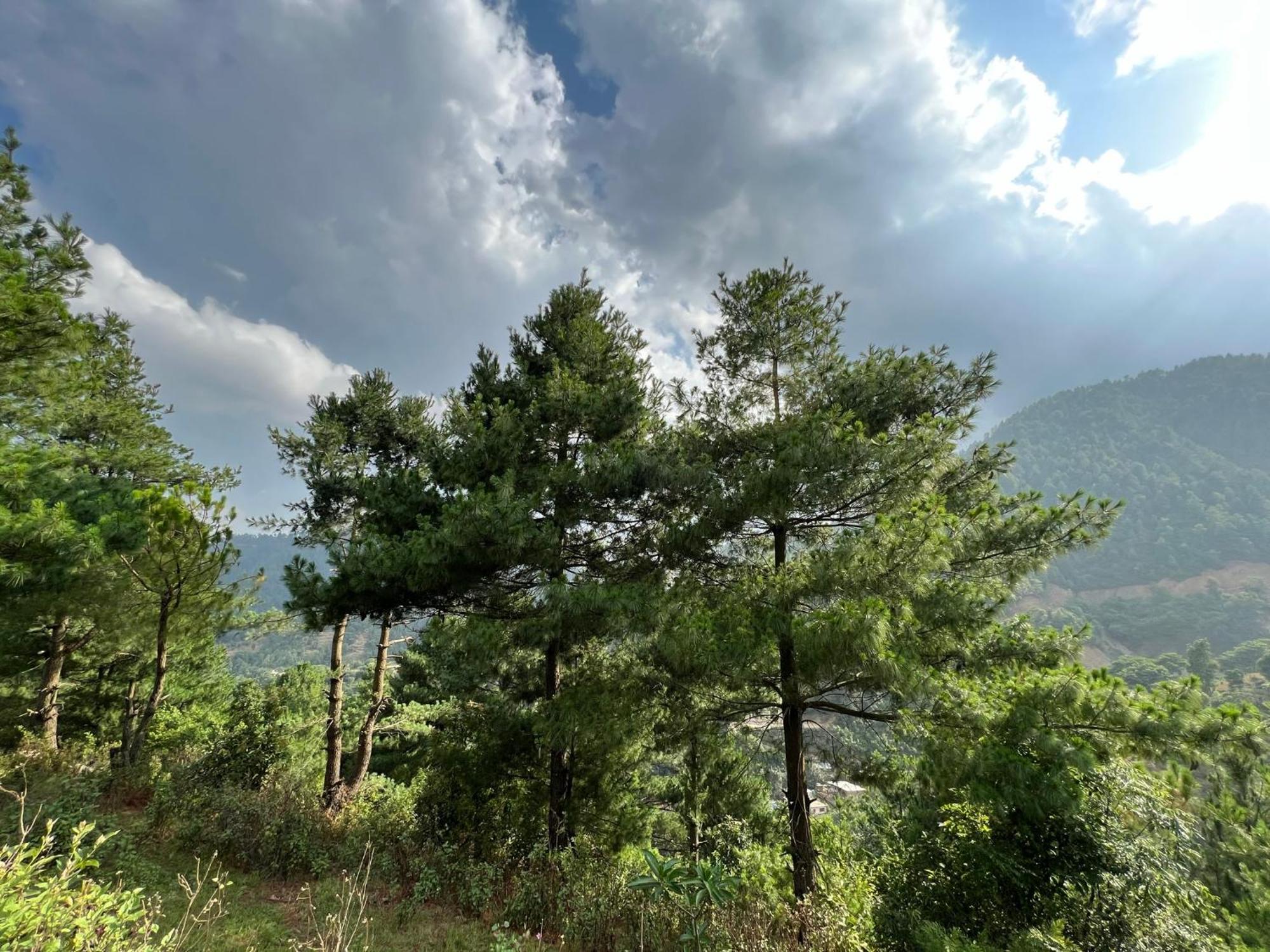 Joy Source Resort กาฐมาณฑุ ภายนอก รูปภาพ